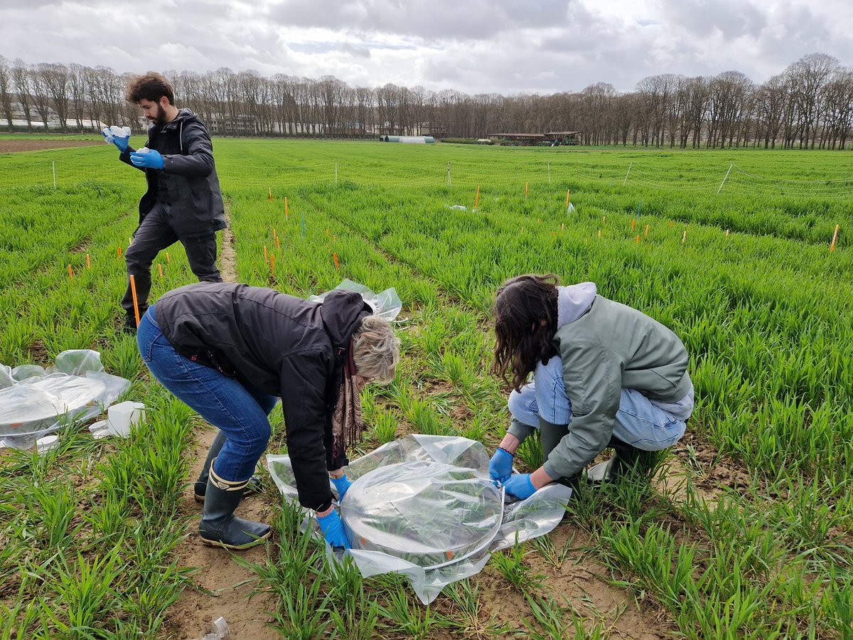 Frédéric Suffert tweet media