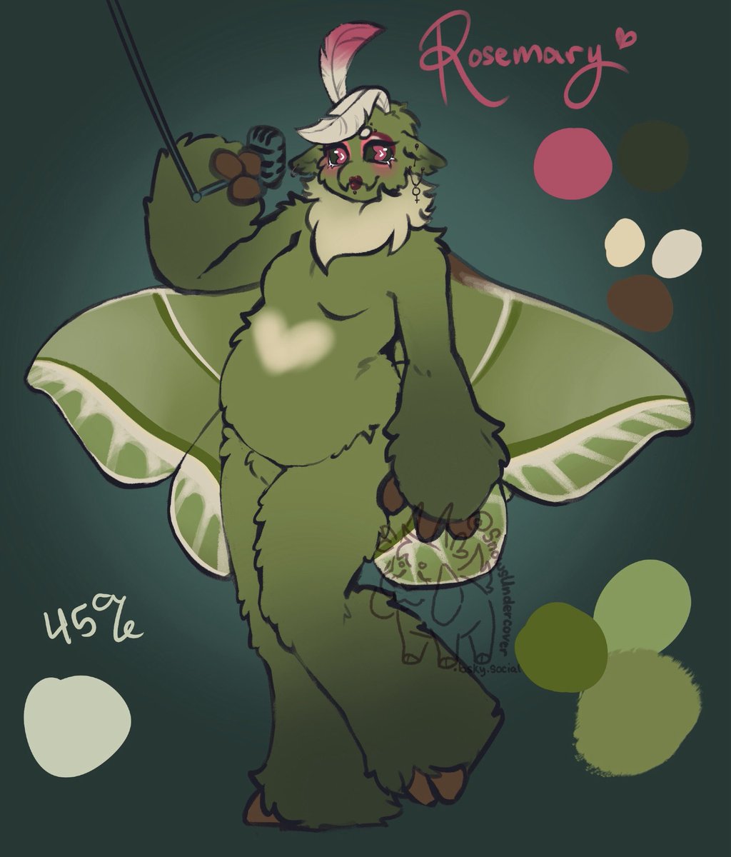 Snow 🔛🦋snowsundercover.bsky.social tweet media