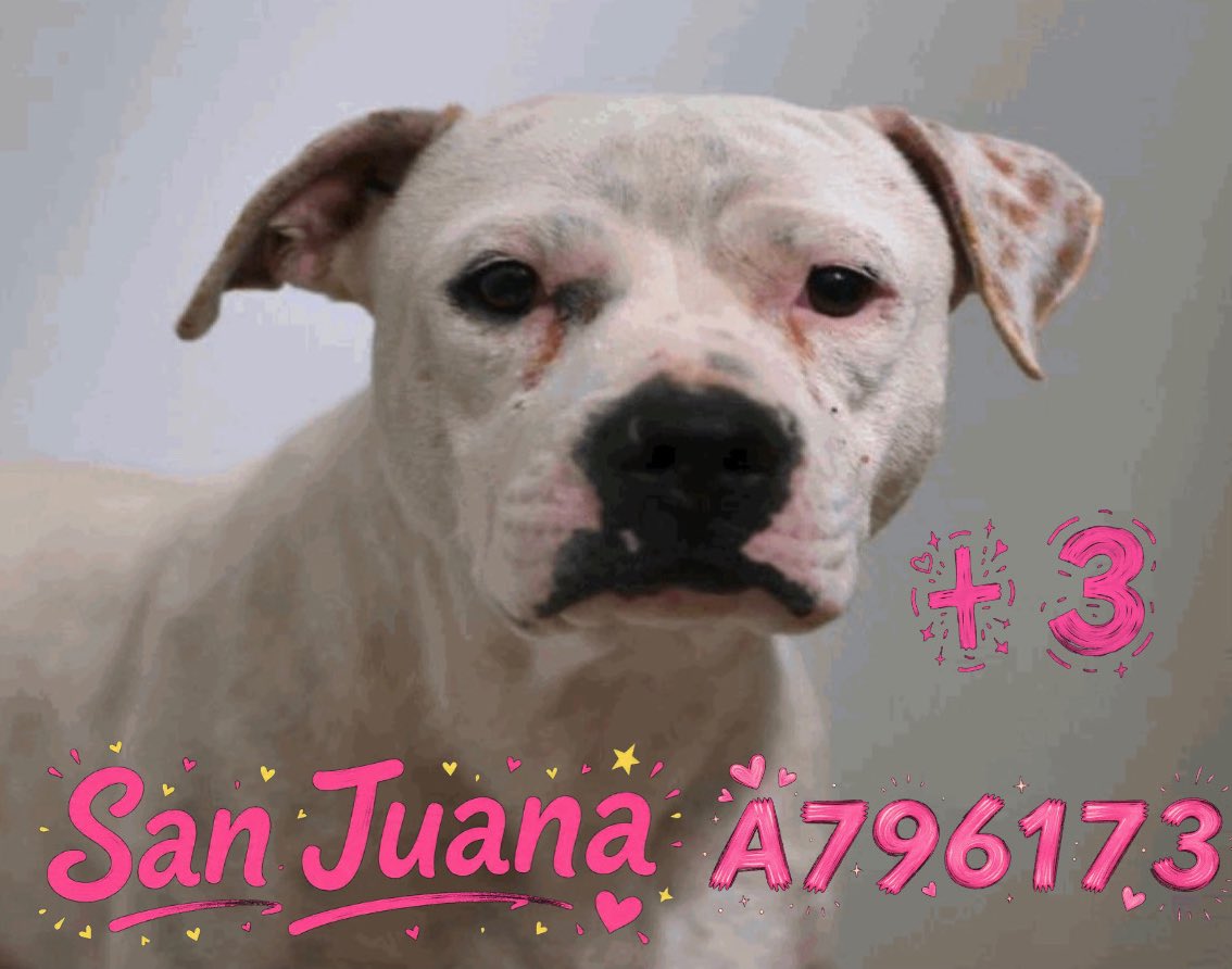 Aurora ⸆⸉ misses Liam ❯❯❯❯ tweet media