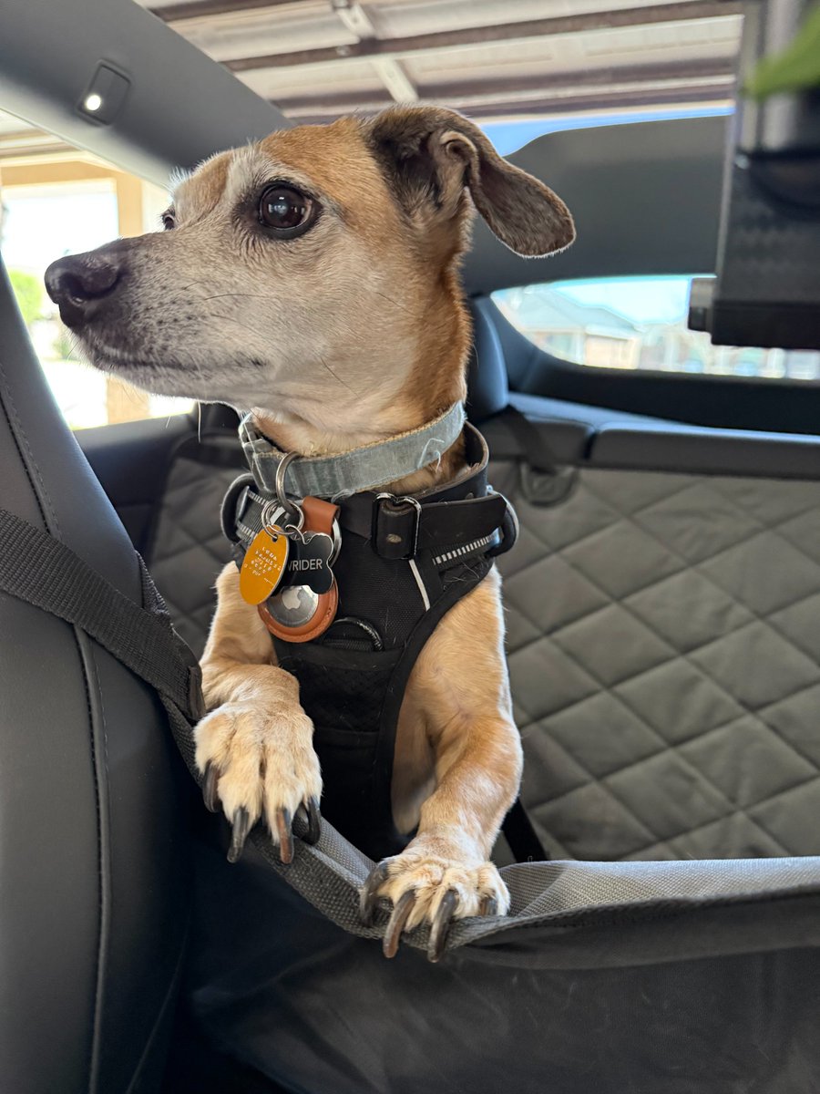 Martha 🌑🚀 tweet media