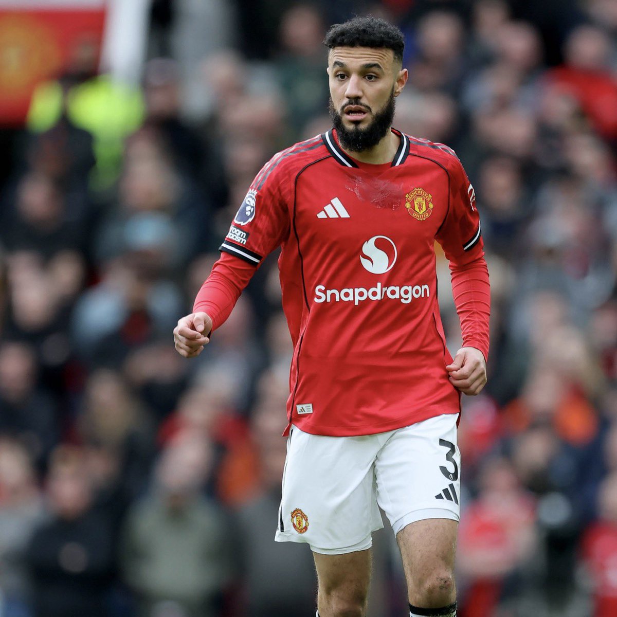 centredevils. tweet media