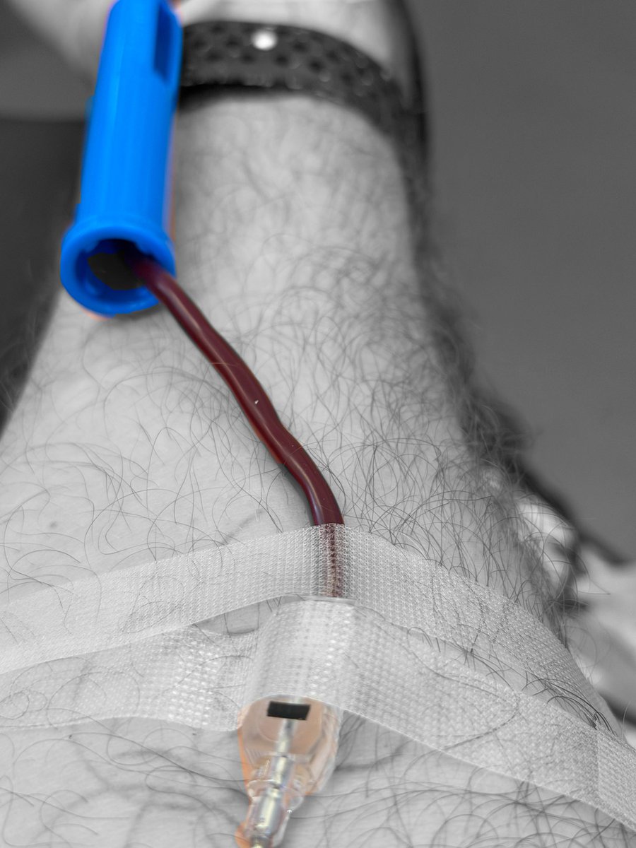 Andrew leeming tweet media