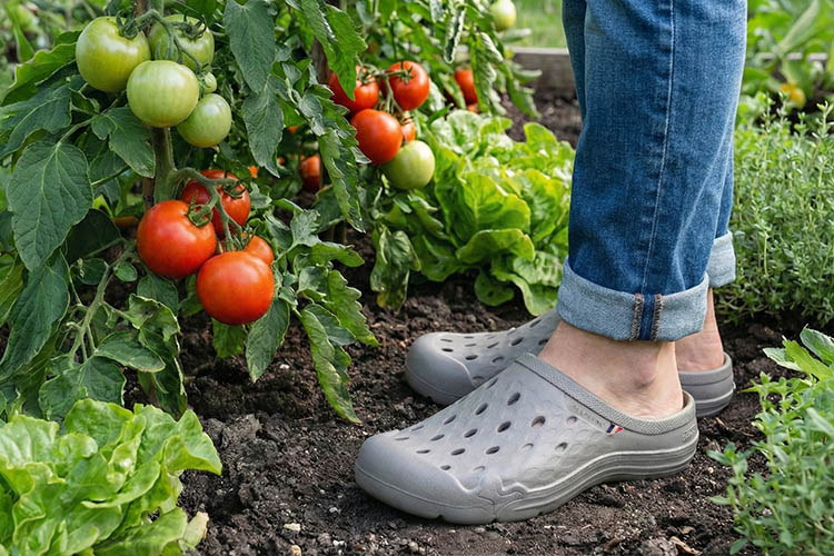 Secteur Vert tweet media