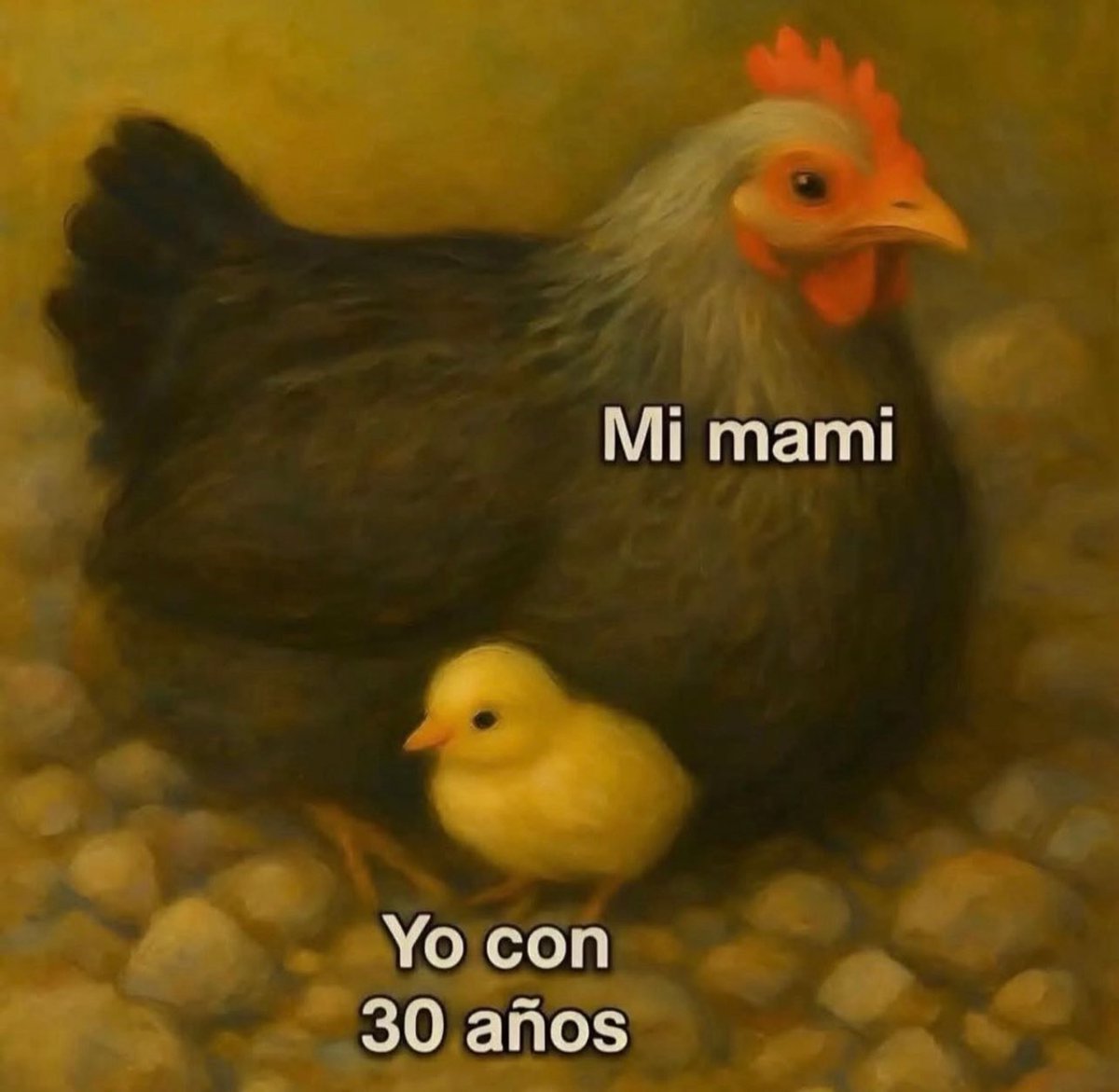 🇲🇽 México Mágico ✨ tweet media