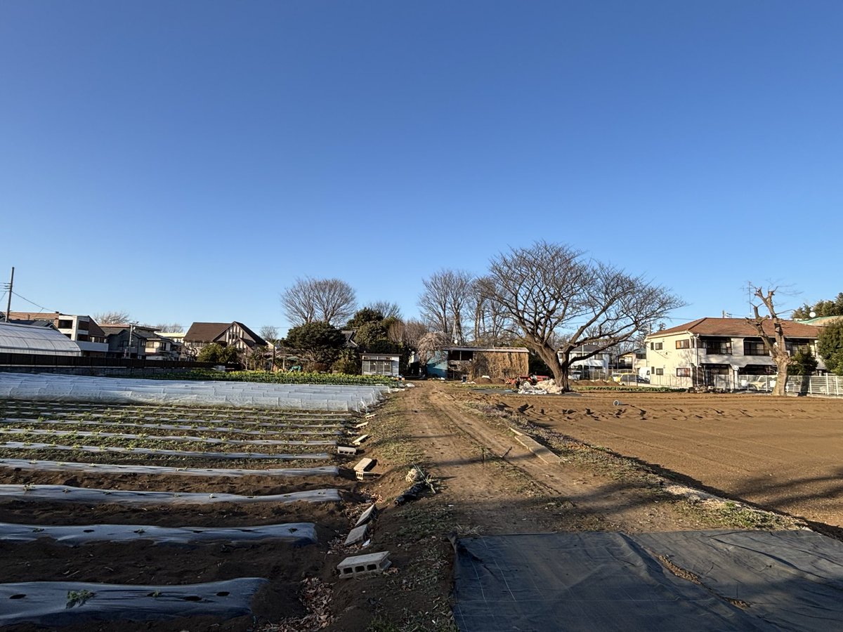 おはようございます。
しっとりと雨に濡れた土と春の匂いがする朝です。
森羅万象に感謝いたします。

本日、新月舞
明後日、春分の祈りの日です。
よろしくお願いいたします。

お彼岸ですね〜。
まだまだ寒かったり晴れたり降ったり色々なので、どうかお身体にお気をつけてお過ごしください。
合掌