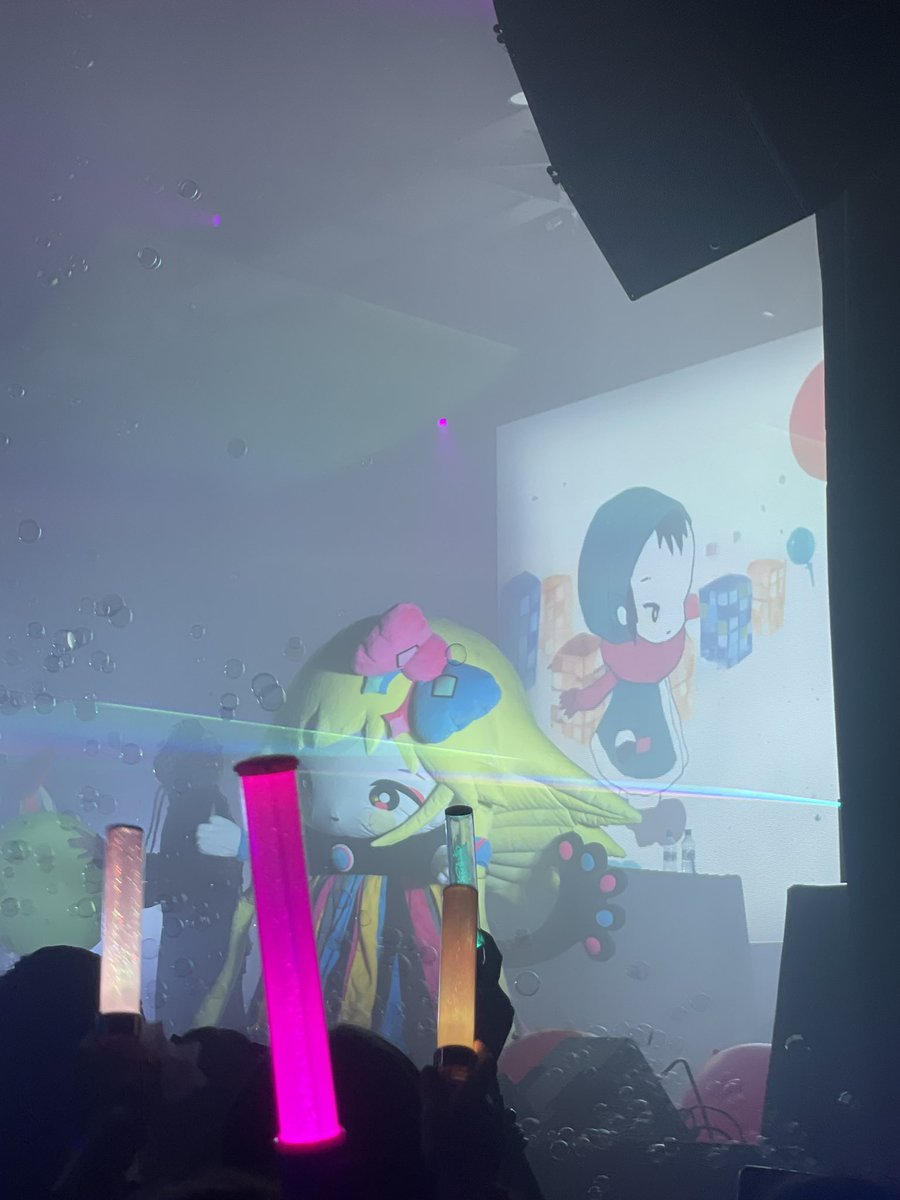 Opodiphthera Eucalypti tweet media