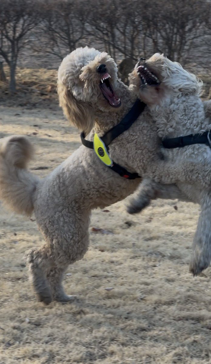 Rinta Arai︎︎ ︎ tweet media