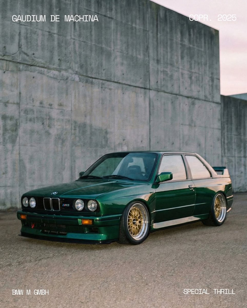 Throttle Cars tweet media