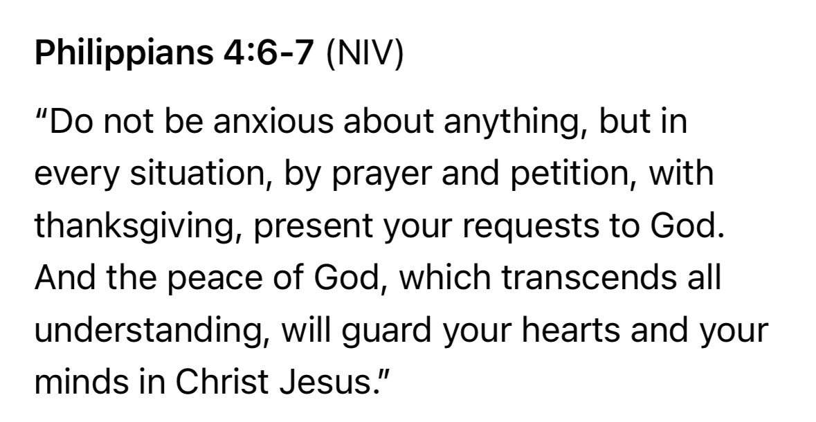 MAGA Scotty tweet media