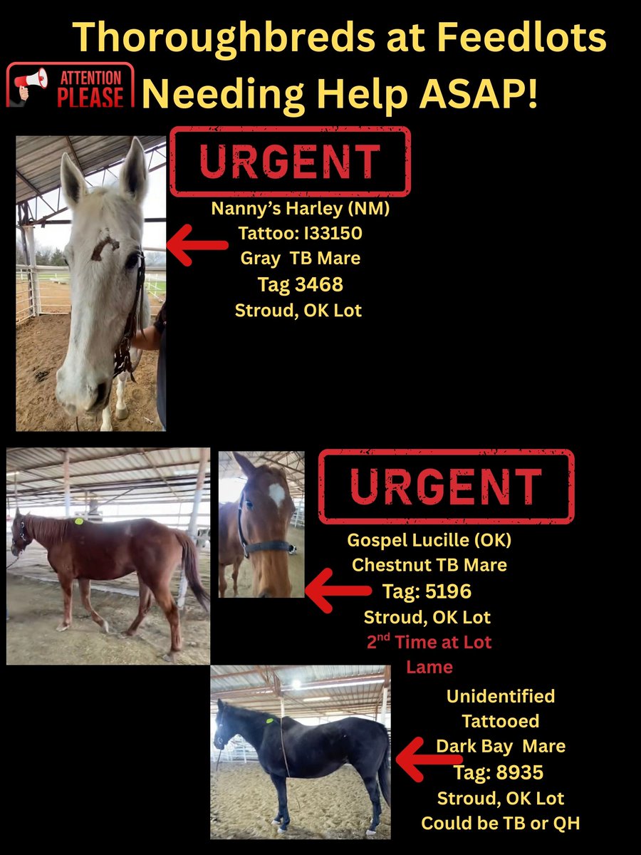 R.A.C.E. Fund, Inc. tweet media