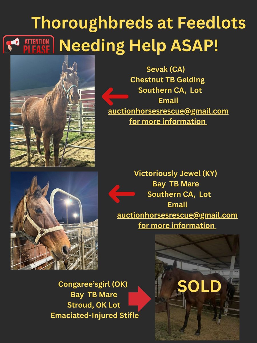 R.A.C.E. Fund, Inc. tweet media