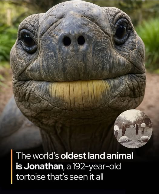 <a href="/SenMcConnell/">U.S. Senator Mitch McConnell</a> LOL Bro  GTFOH you fossile! What are you doing on Twitter?