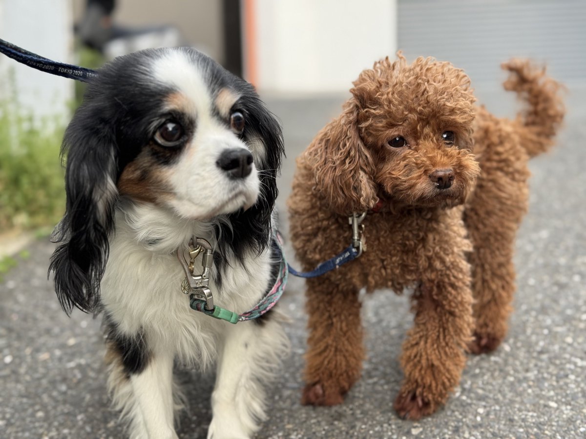 門田充宏 / Mitsuhiro Monden tweet media