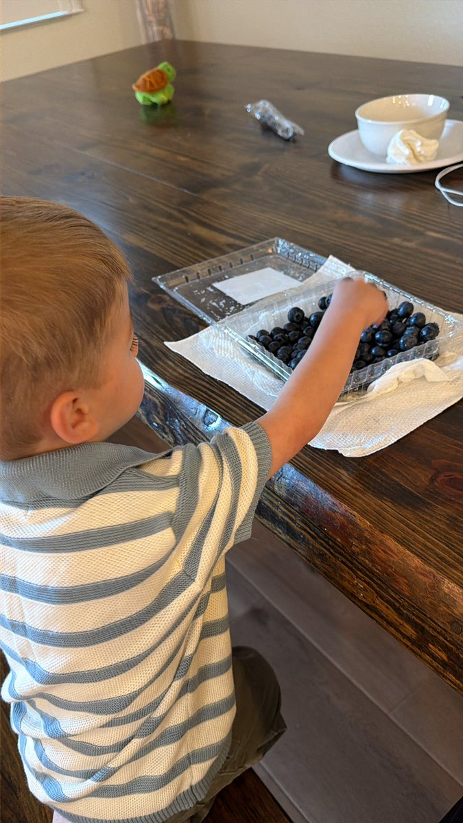 Brady Holmer tweet media