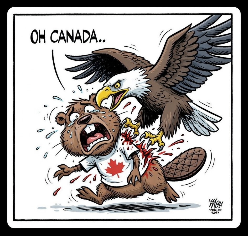 HowlingBlackbird tweet media