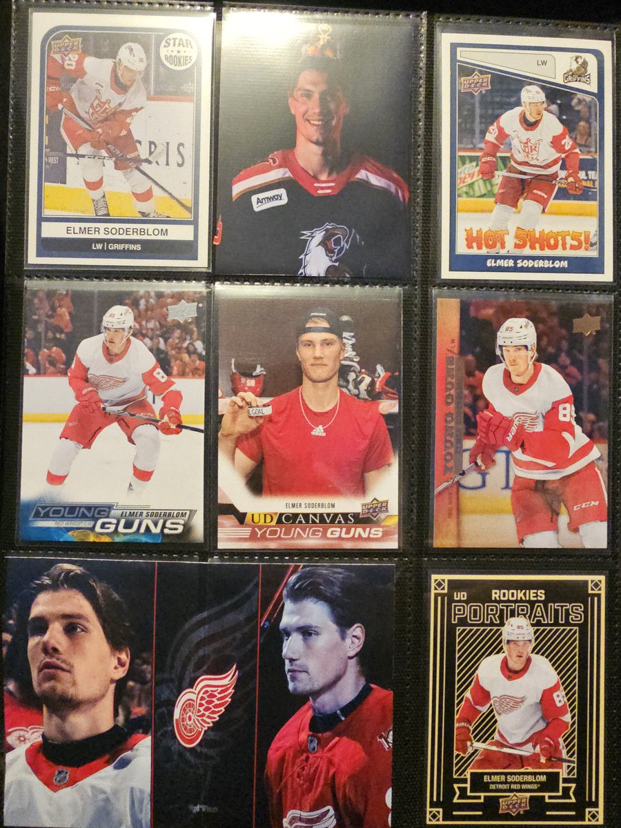 Shannon Brandon tweet media