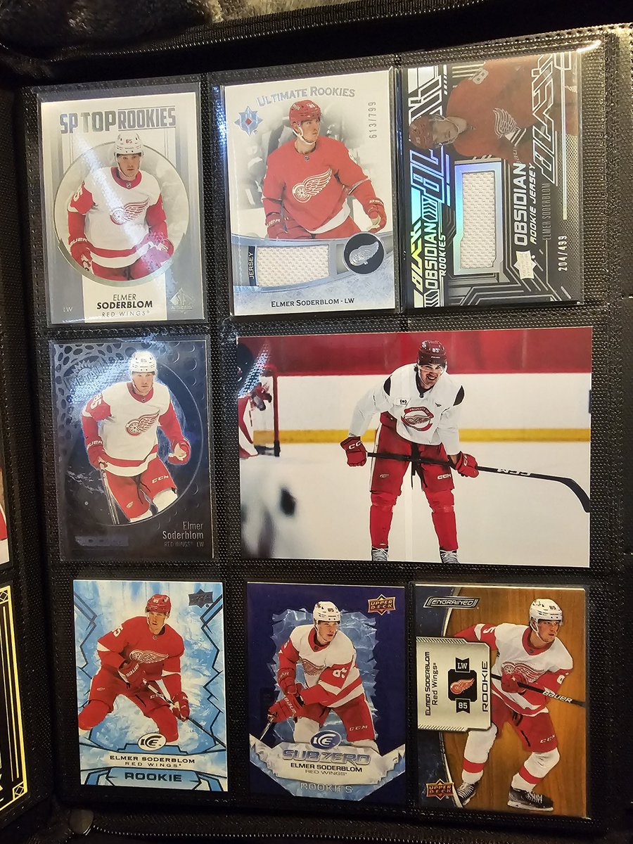 Shannon Brandon tweet media