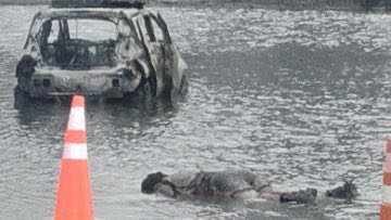 Neoliberalover tweet media