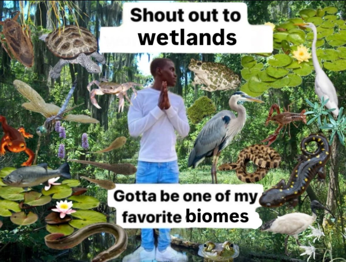 The Notorious J.O.V. (@whotfisjovana) on Twitter photo 