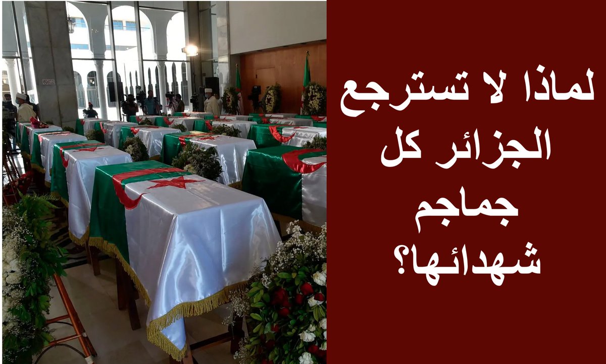 Maria Moori tweet media