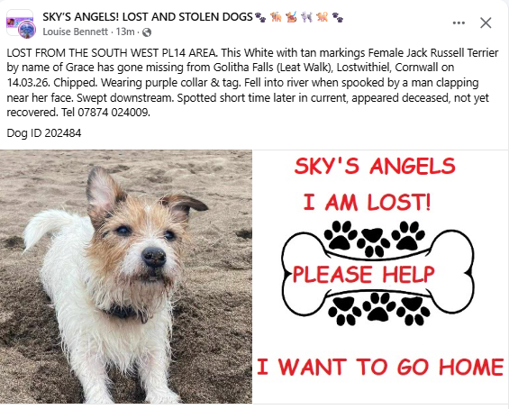 Liz Quinn tweet media