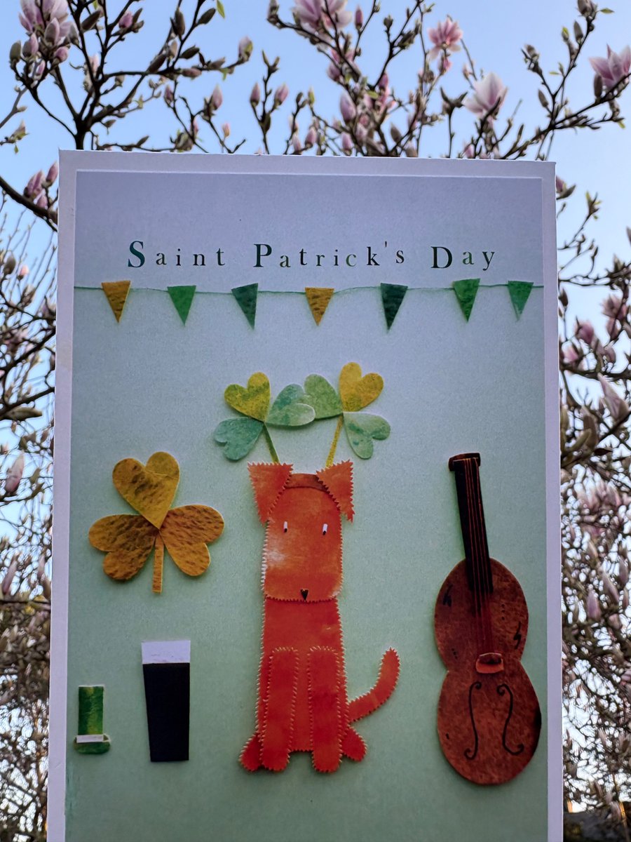 KillingB designs tweet media