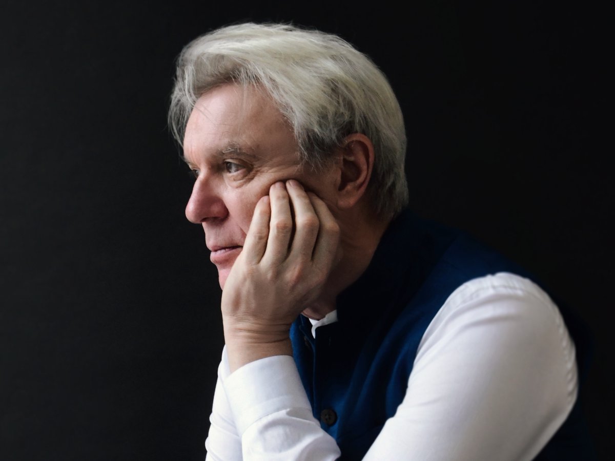 Into The Forest Dark tweet media