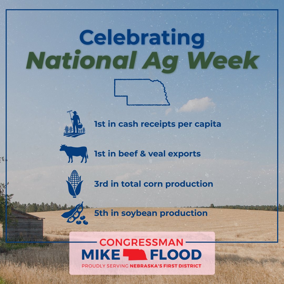 Rep. Mike Flood tweet media