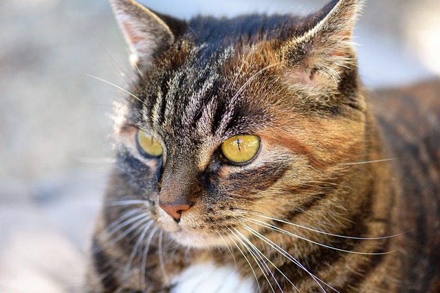 Monica Gonzalez tweet media