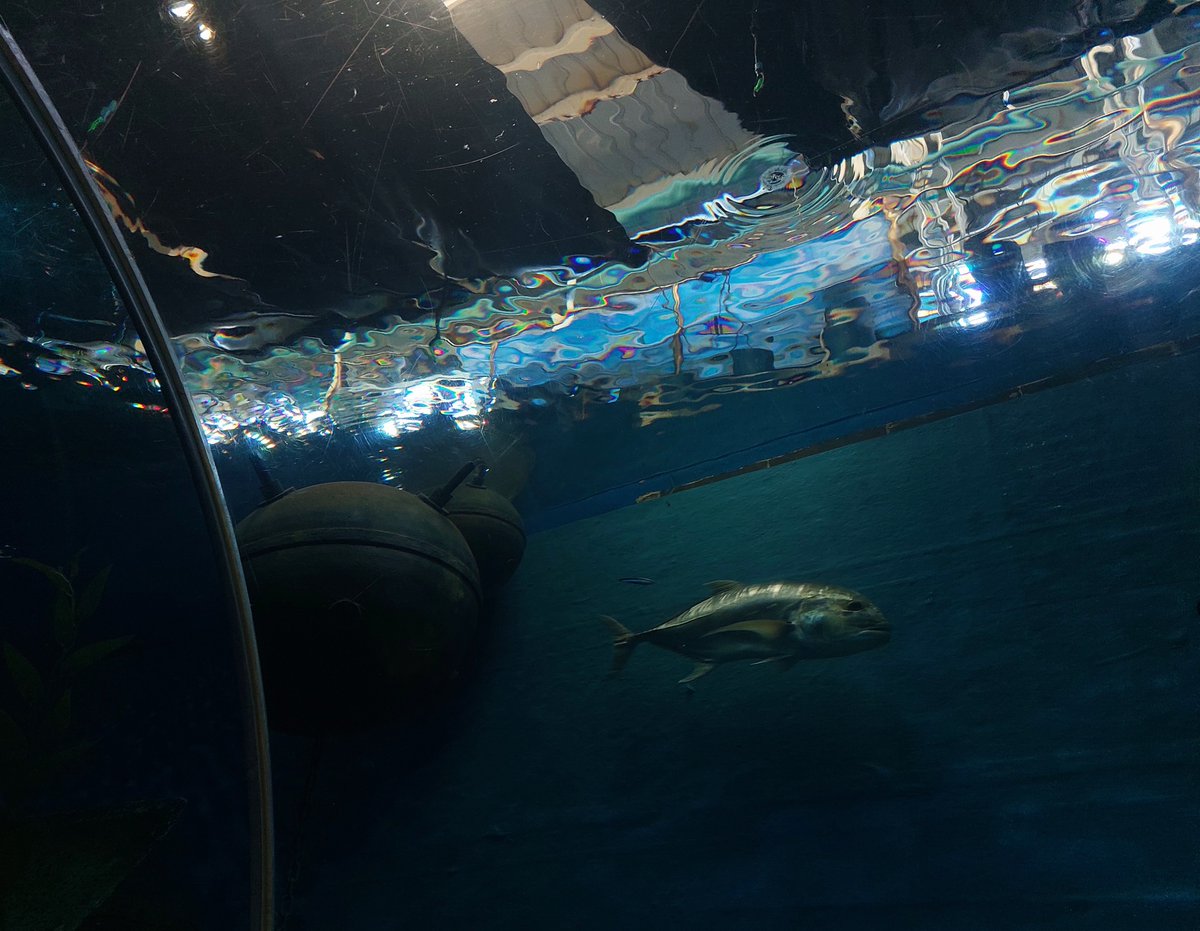 halfduality tweet media