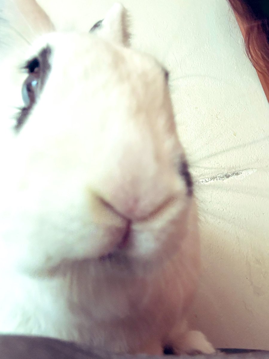 Cordelia tweet media