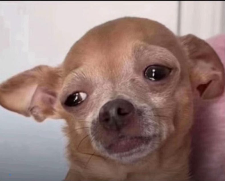 Commiee ( 💛,🖤 ) tweet media