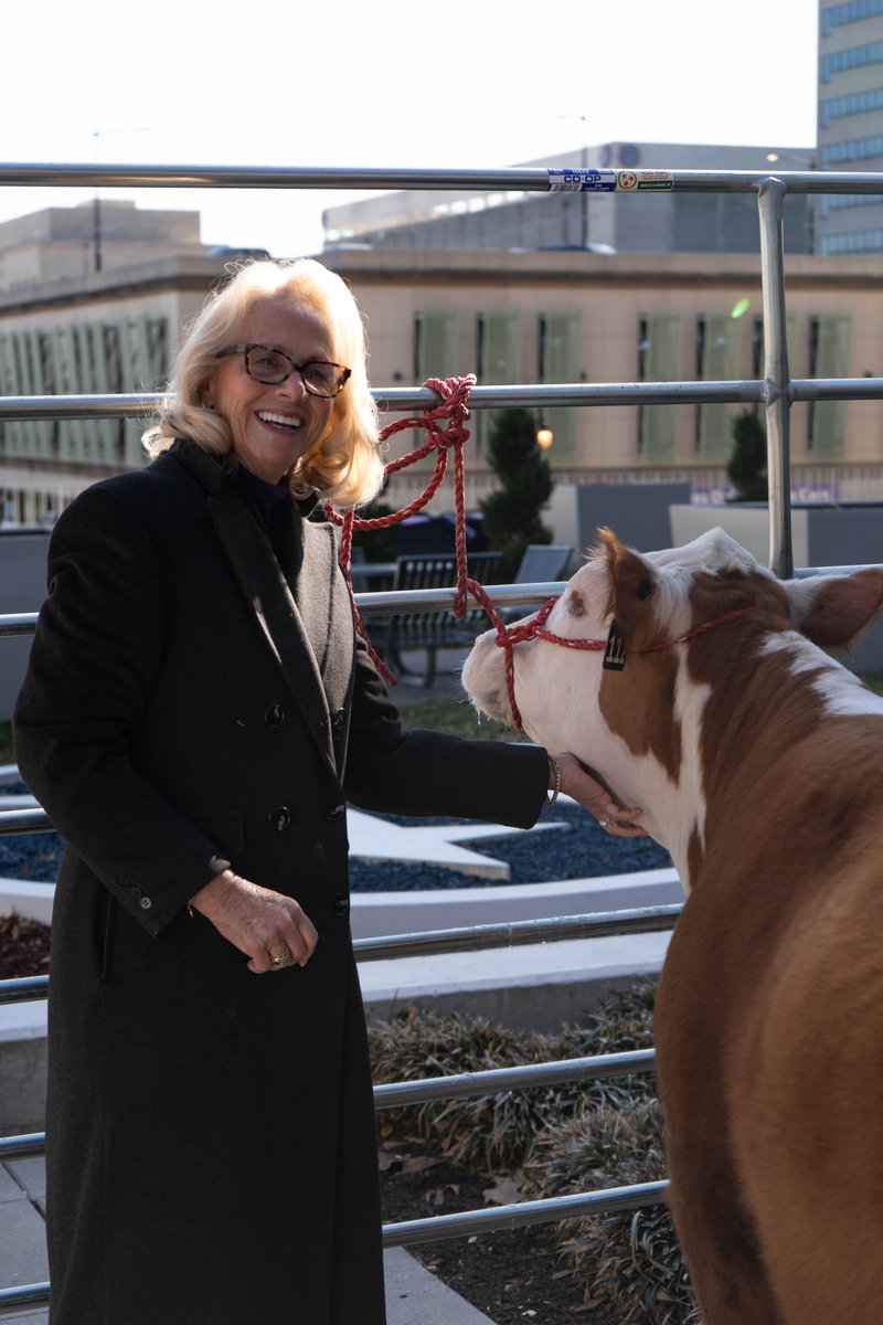 Representative Rebecca Alexander tweet media