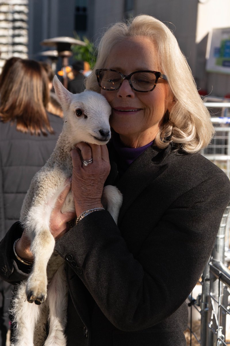 Representative Rebecca Alexander tweet media