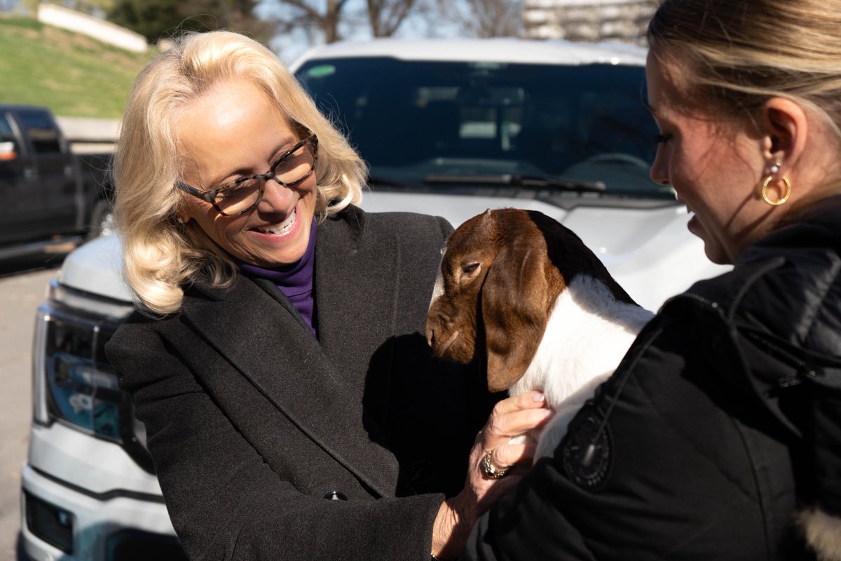 Representative Rebecca Alexander tweet media