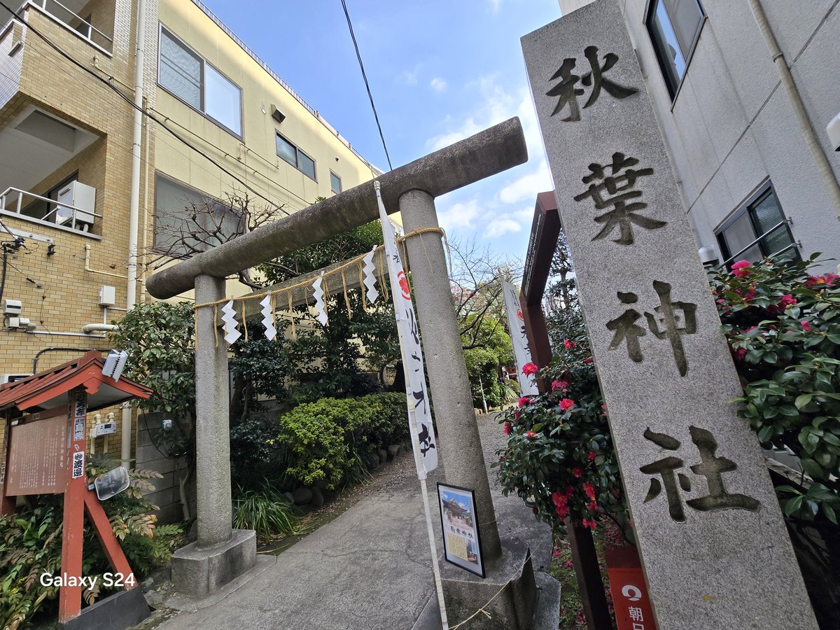 まゆっしー tweet media