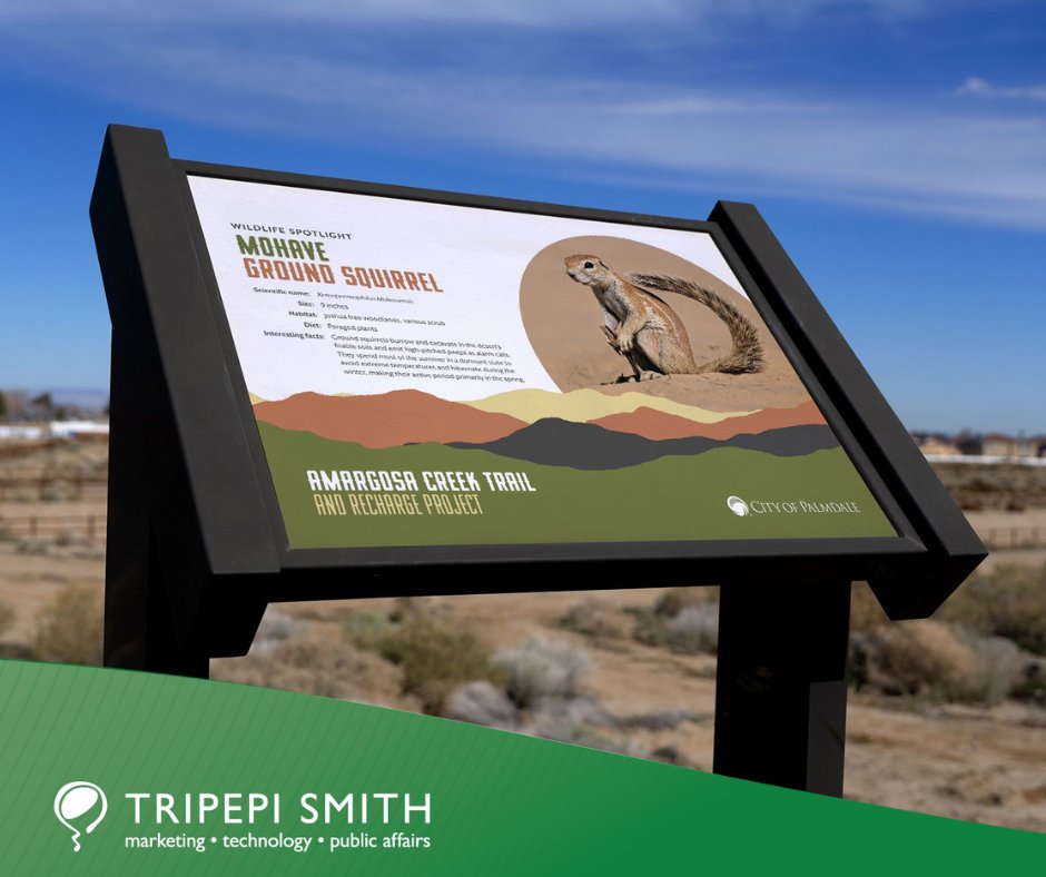 Tripepi Smith tweet media