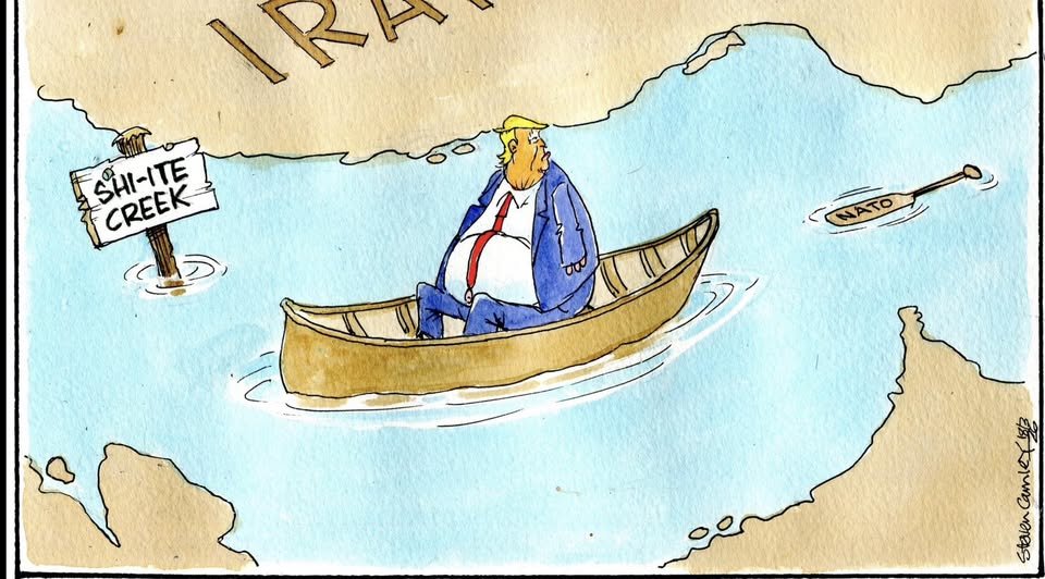 dave lawrence 🐟🐟🐠 tweet media