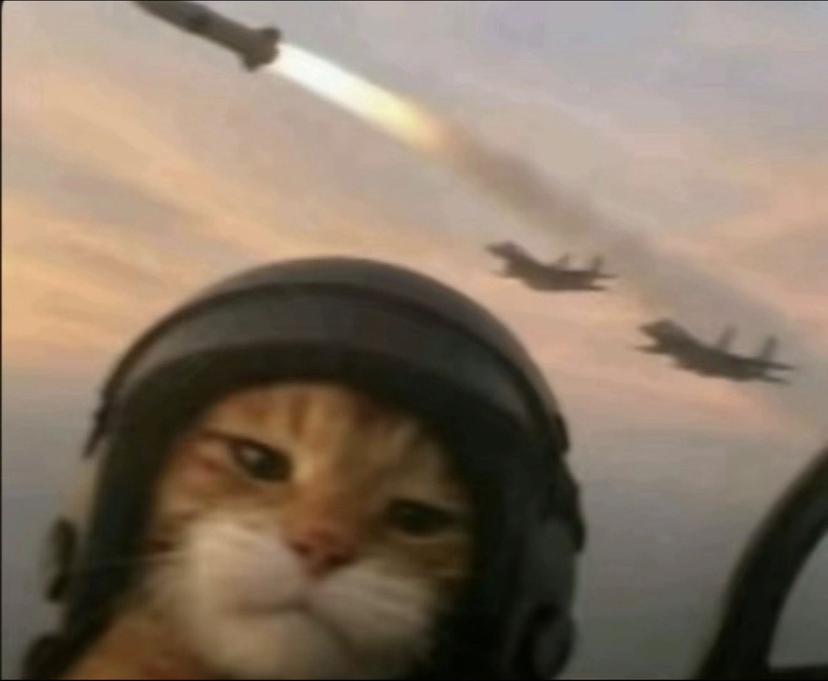 VixieLyra🦊🪐🦻 tweet media