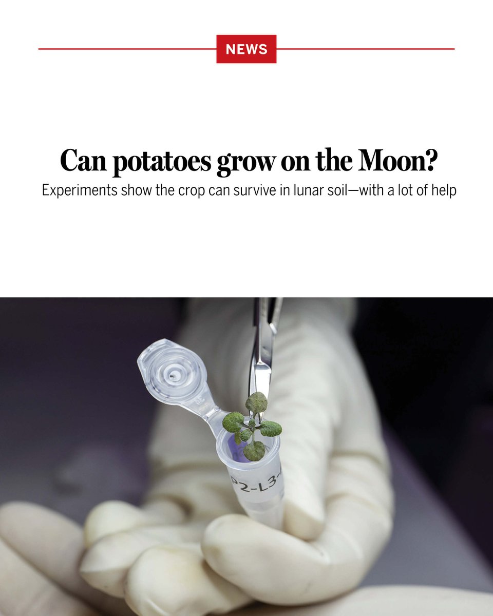 News from Science tweet media