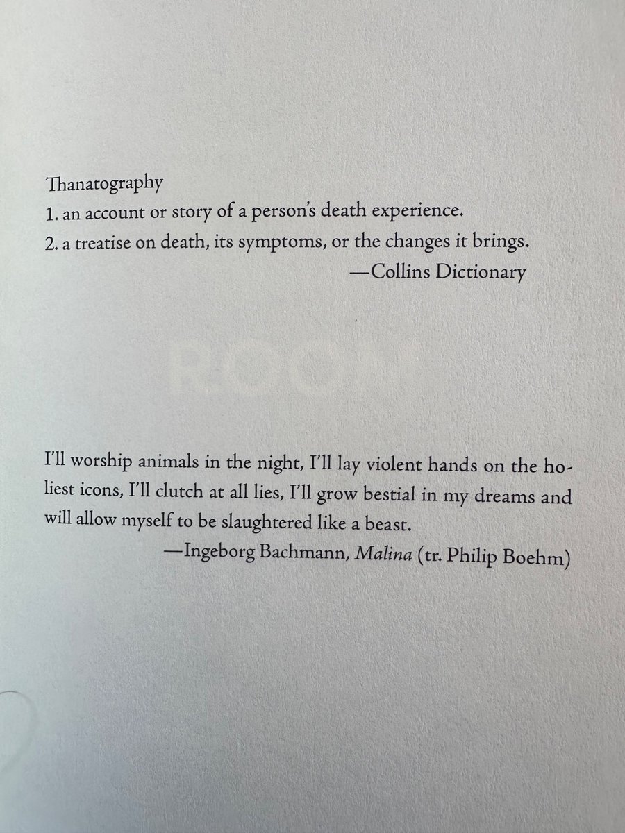 Alina Stefanescu tweet media