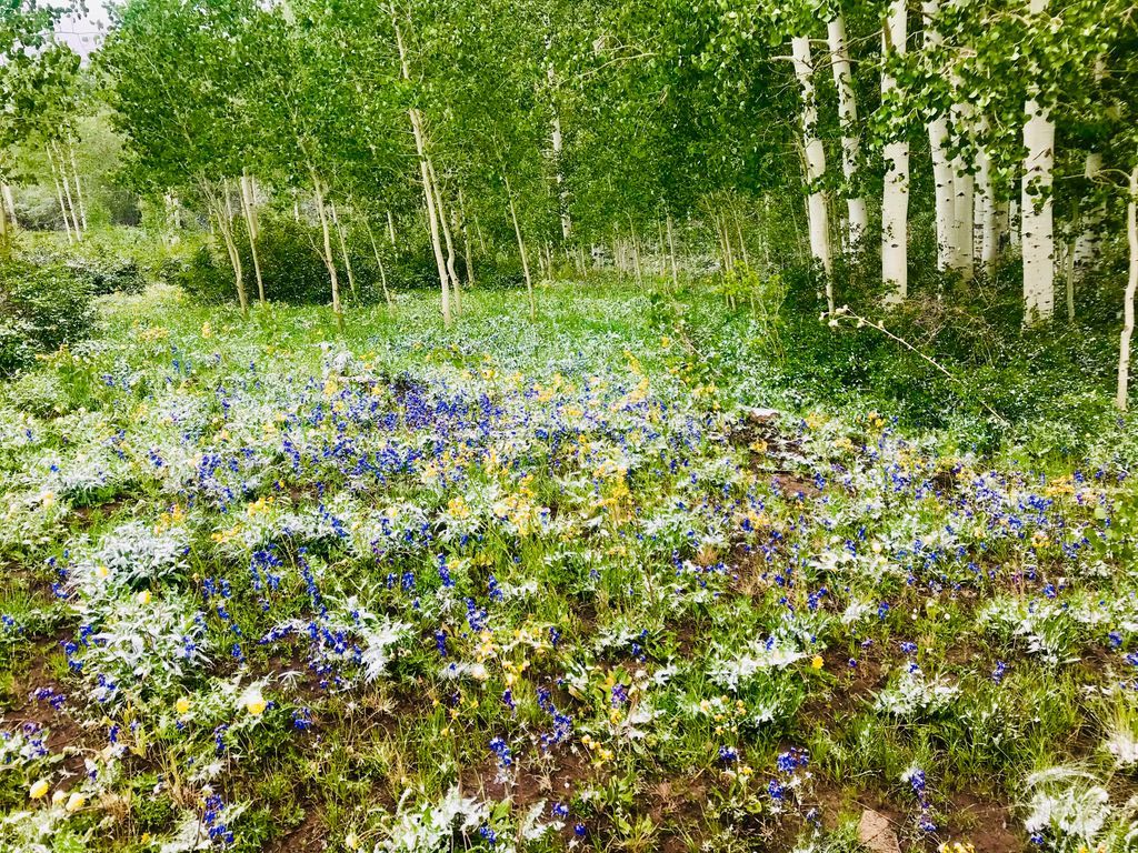 Utah Fire Info tweet media