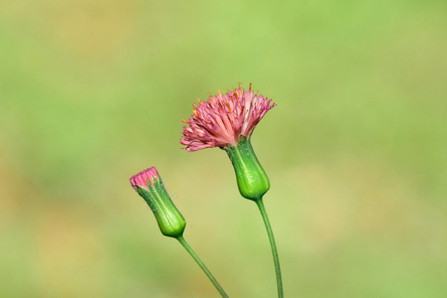 Stephanie Lewis tweet media