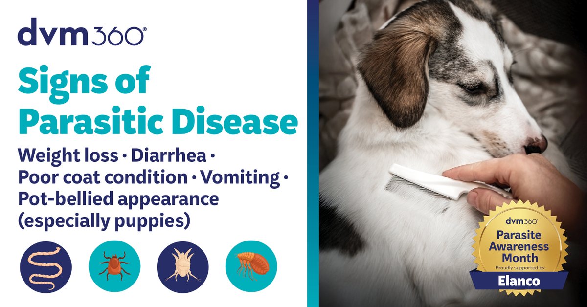 dvm360® tweet media