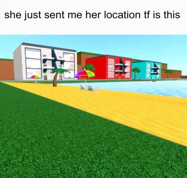 dinosaur tweet media