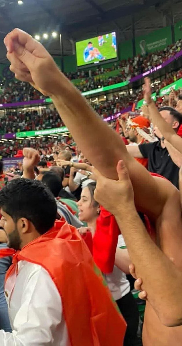 Mommy Shark tweet media