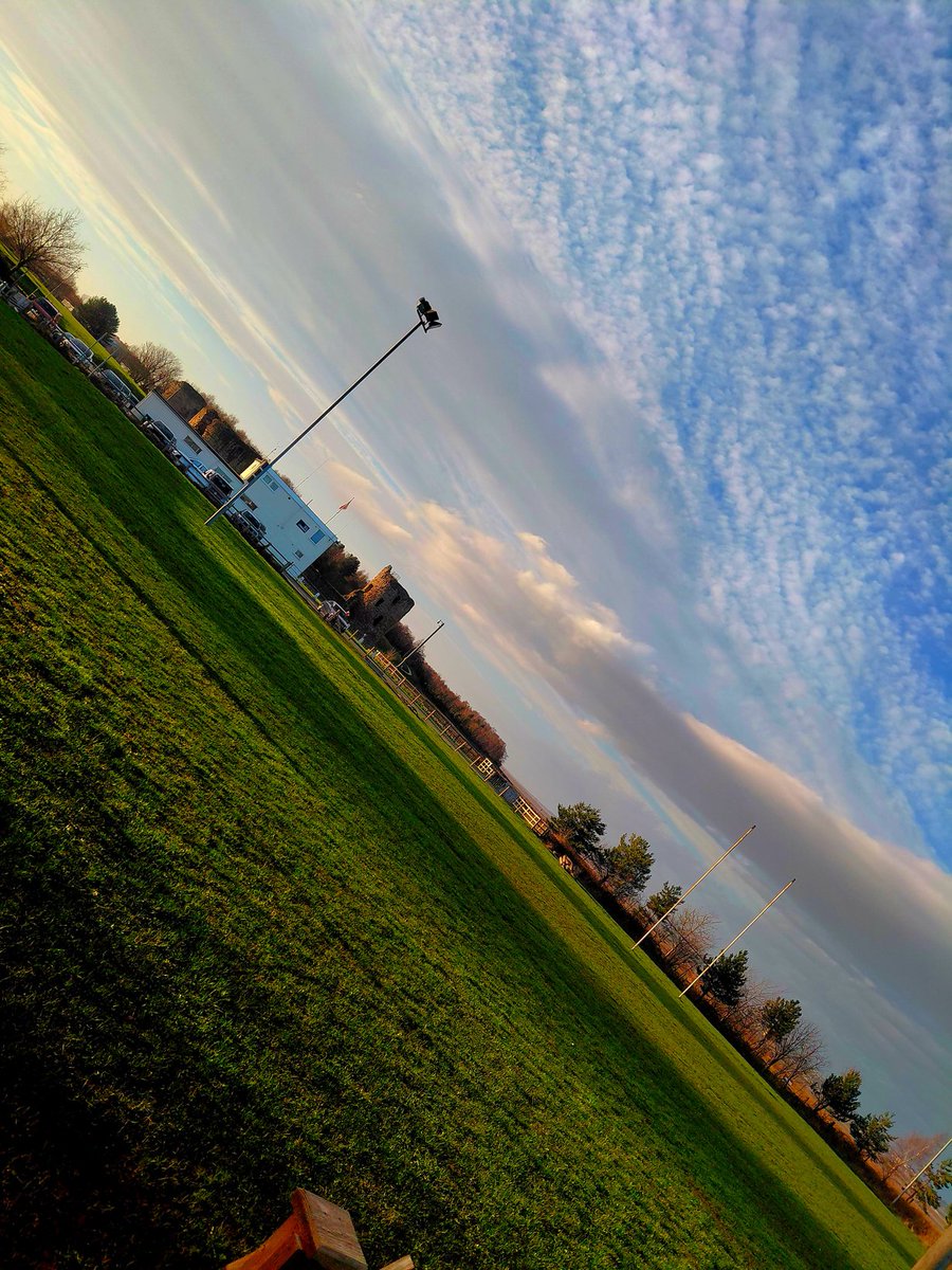 Faye Davies tweet media