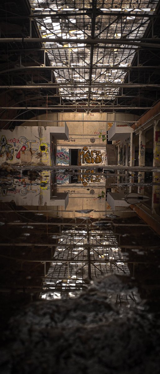 Apollo 🏳️‍🌈 tweet media