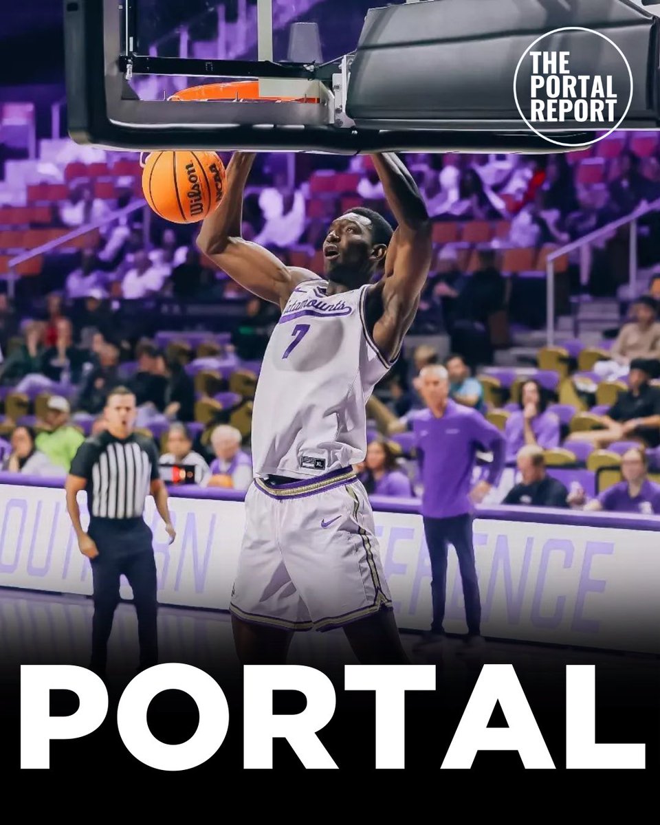 The Portal Report tweet media