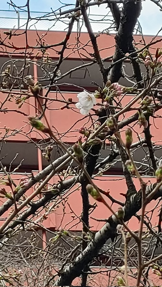 25th【スタジオイブキ】モーションキャプチャースタジオ tweet media